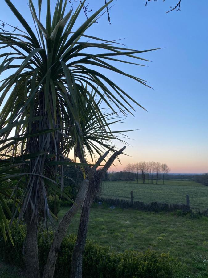 Maisonbel, Gite Convivial Bretagne Vannes Sarzeau 15 Personnes Surzur Exteriér fotografie